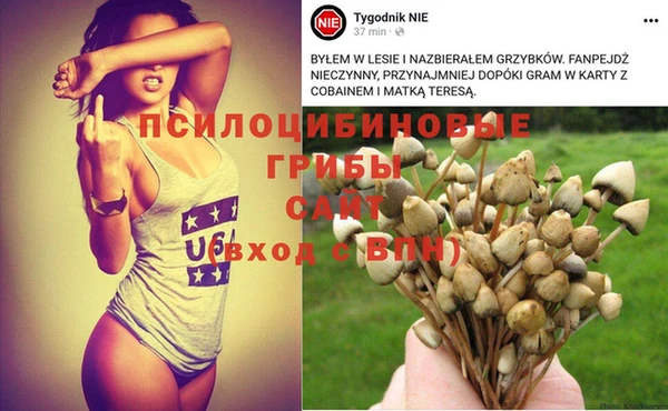 спайс Щучье