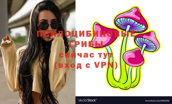 круглые Шадринск