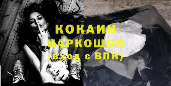 прущий лед Бородино
